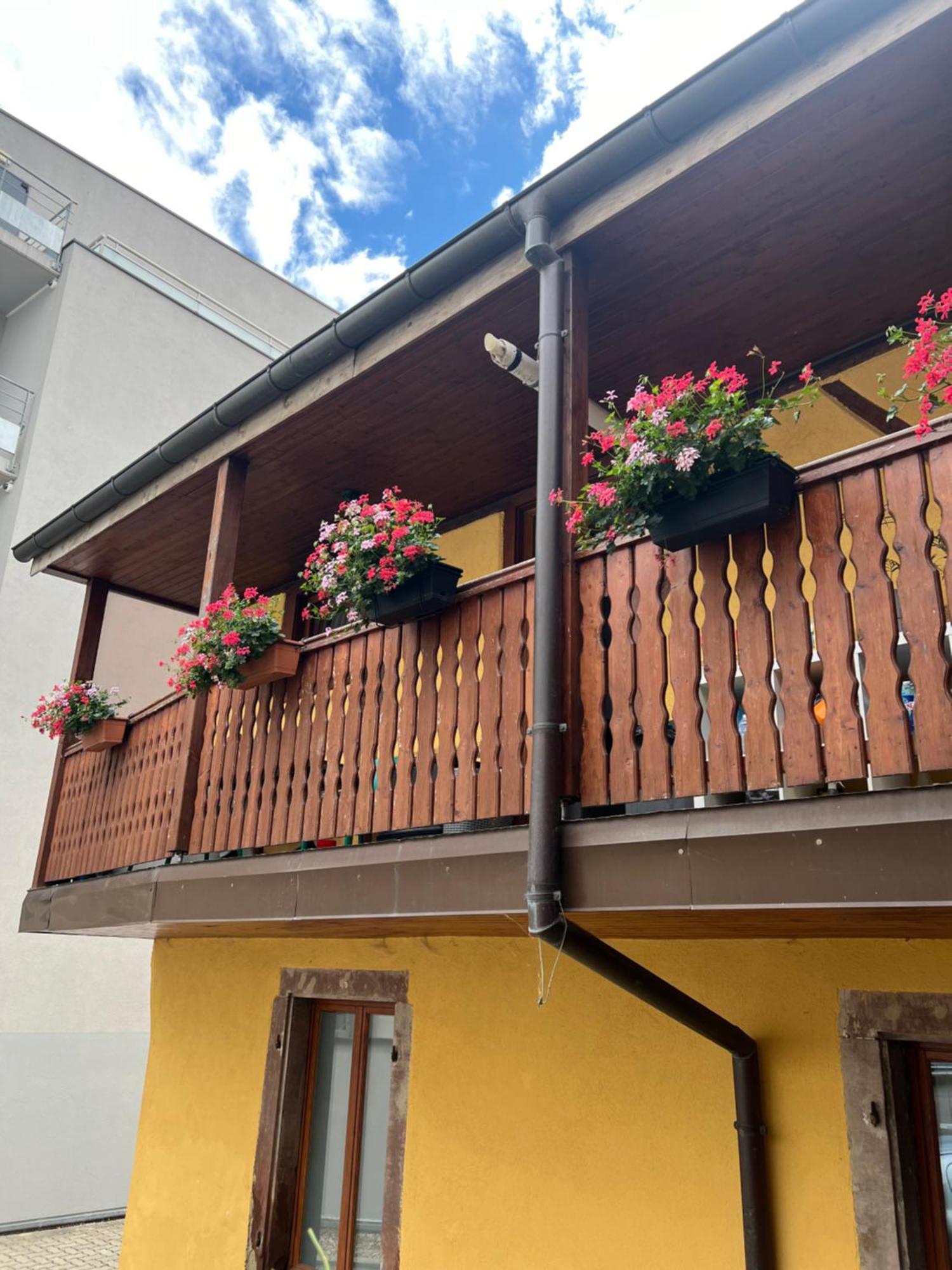 Colmar Charmant Logement Dış mekan fotoğraf